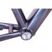 Rám 29" MRX TB25 - chameleon lesk
