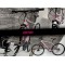 SCUD 28'' FRAGA Acera 3x8 disc - 19"