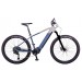 Elektrokolo eMERIX 29" YAM26 - CUES 1x11 Z2 disc