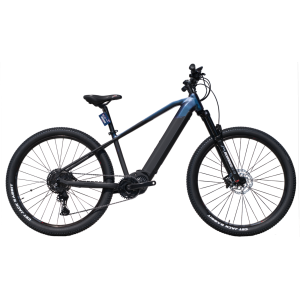 Elektrokolo eMERIX 29" YAM26 - CUES 1x11 Z2 disc